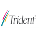 TRIDENT BLADE T16/T64/XP Graphics Driver 5.01.2527.0123